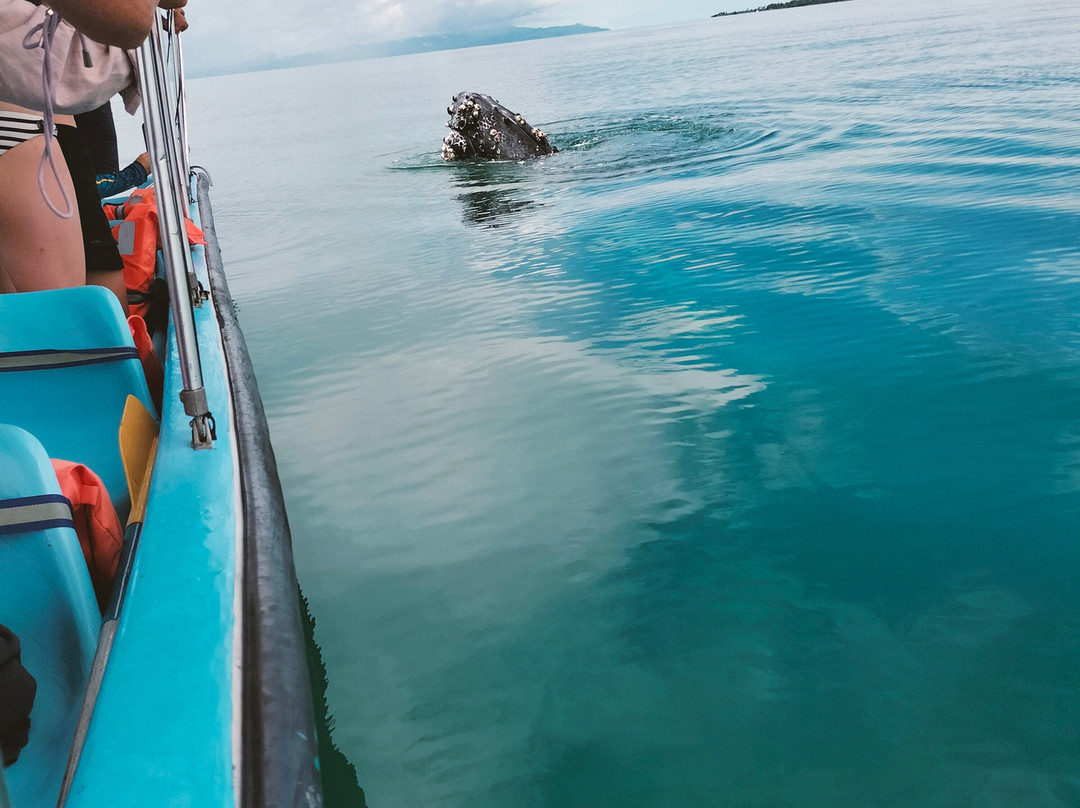 Changing Tide Tours-希门尼斯港必去景点