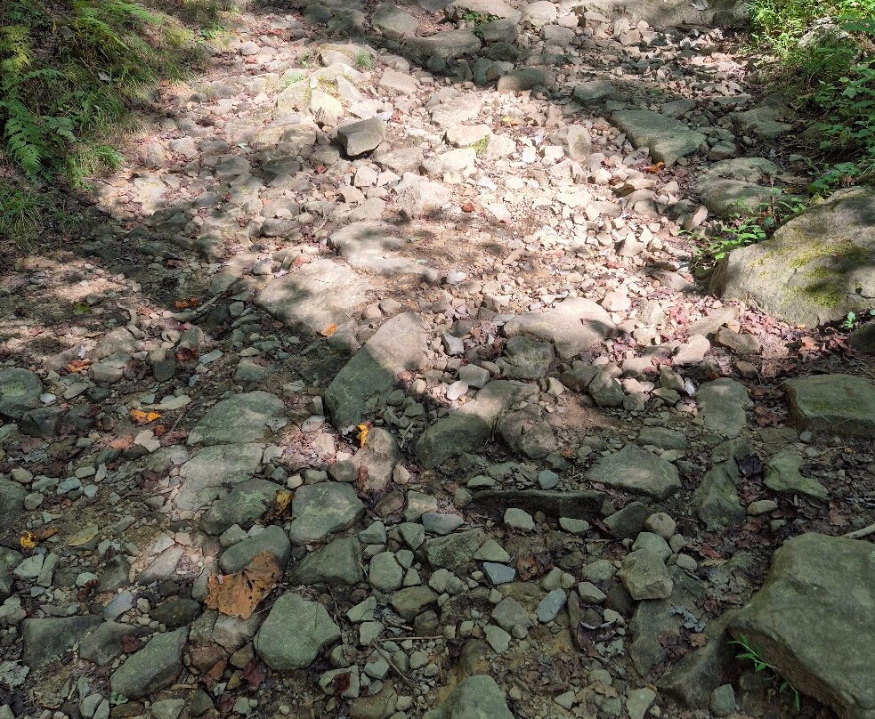 Coopers Rock State Forest-Bruceton Mills必去景点