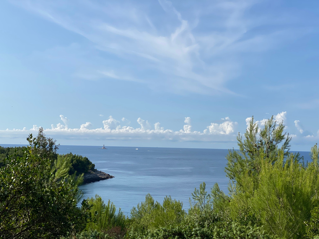 Tajana & Zlatni Rat Excursions-梅杜林必去景点