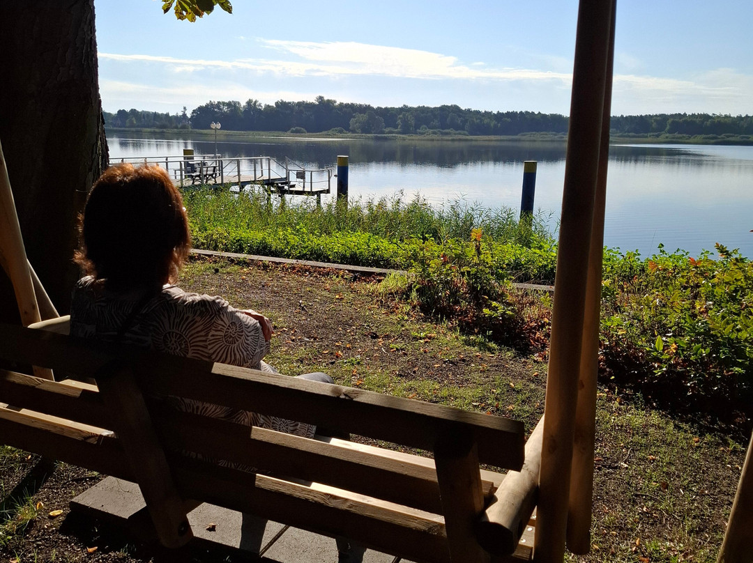 Seehotel Bollmannsruh主图