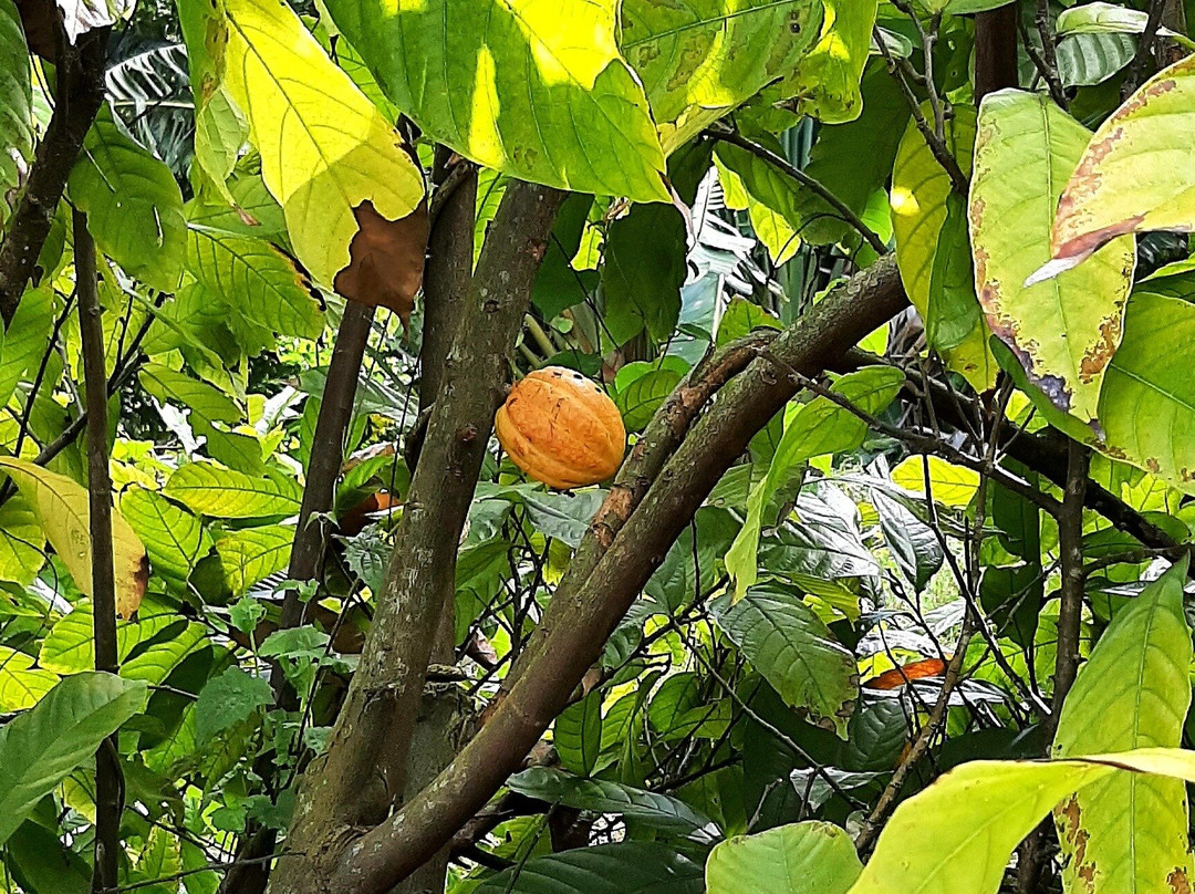 Moris Otreman-路易士港必去景点