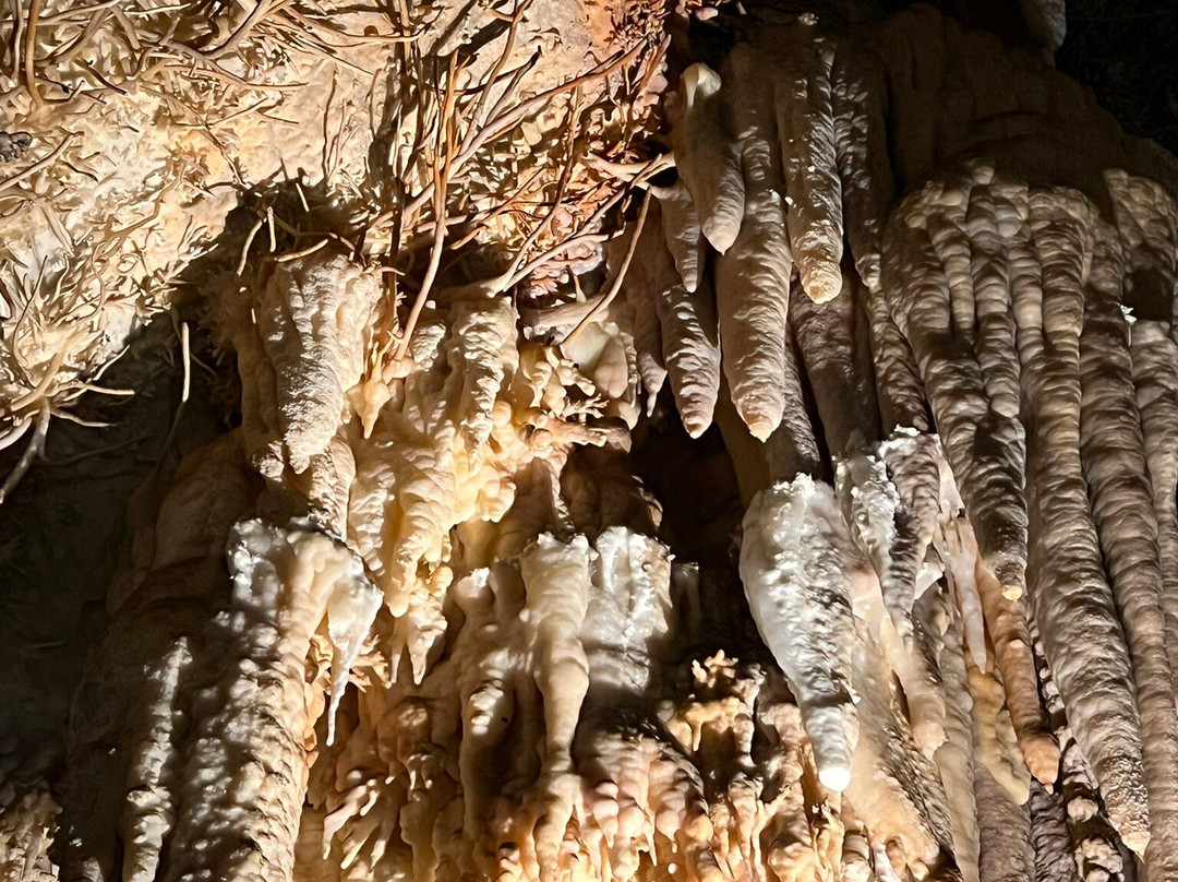 Cueva De Pozalagua-Valle de Carranza必去景点