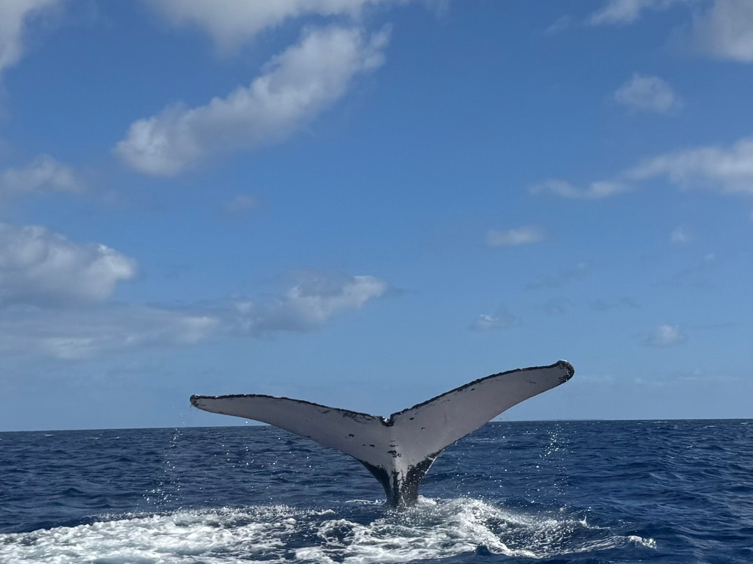 Magenta Oceans-Uoleva Island必去景点