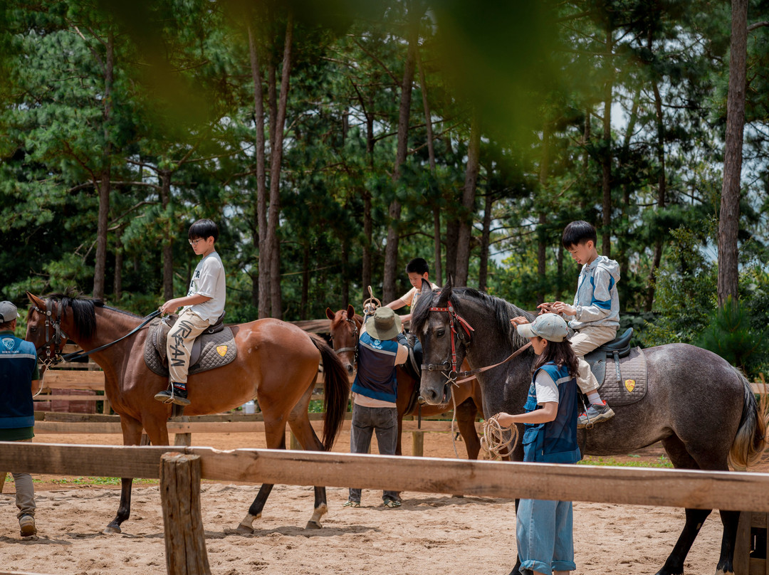 Mang Den Horse Farm-昆嵩必去景点