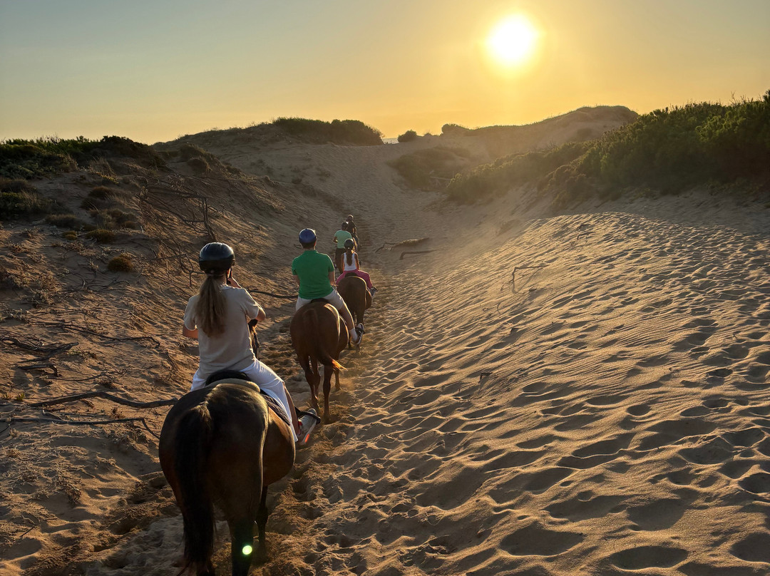 Tre Stelle Sa Mandra-阿尔盖罗必去景点