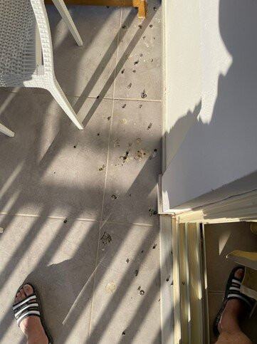 Natura Park Village Hotel & Spa主图