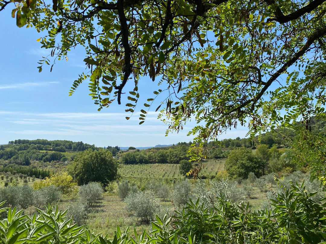 Truffle Hunting at Les Pastras-Cadenet必去景点