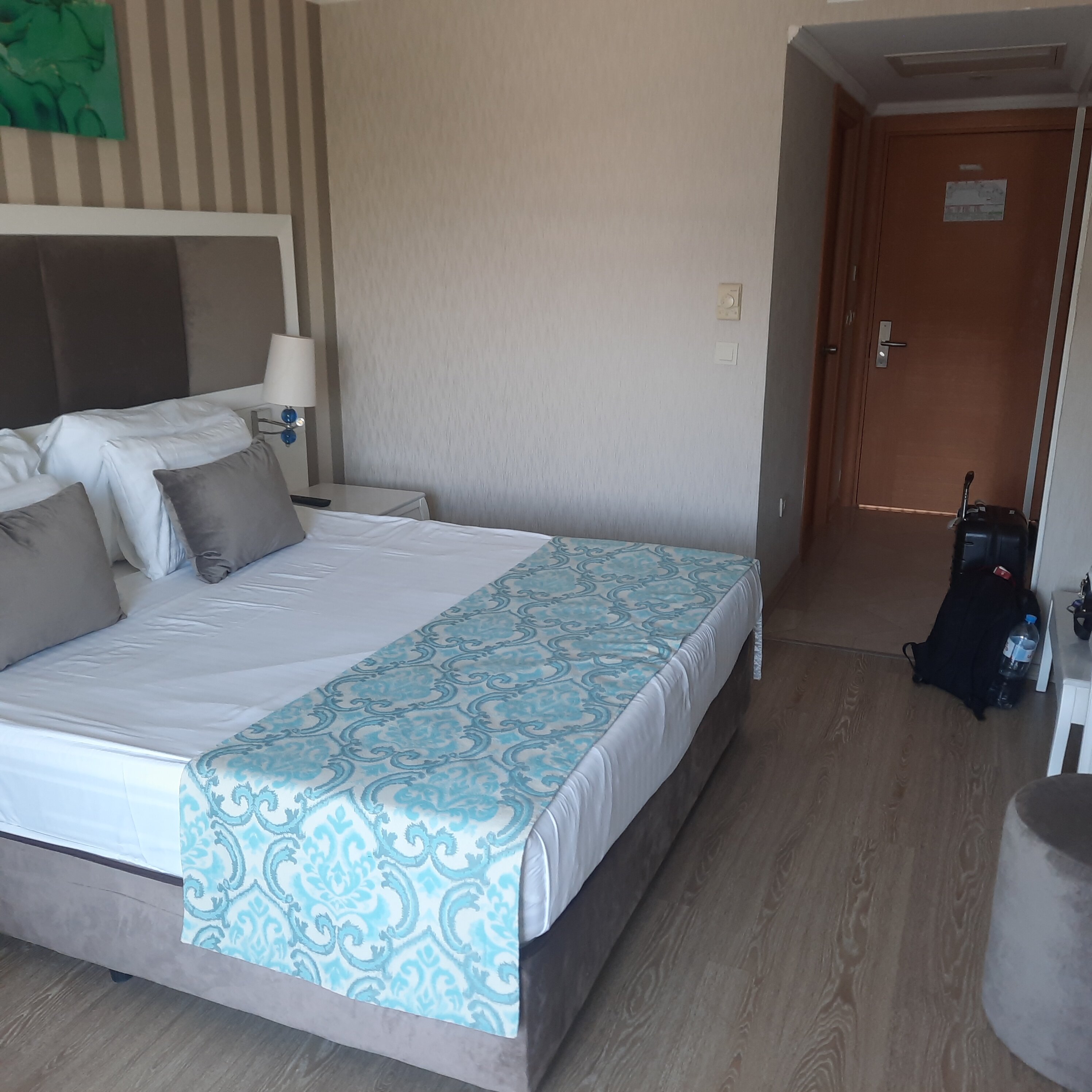 Asteria Bloom Side-客卧