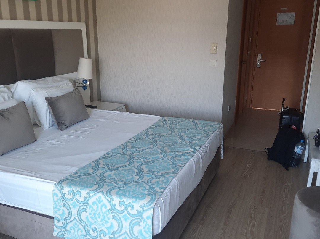 Asteria Bloom Side主图