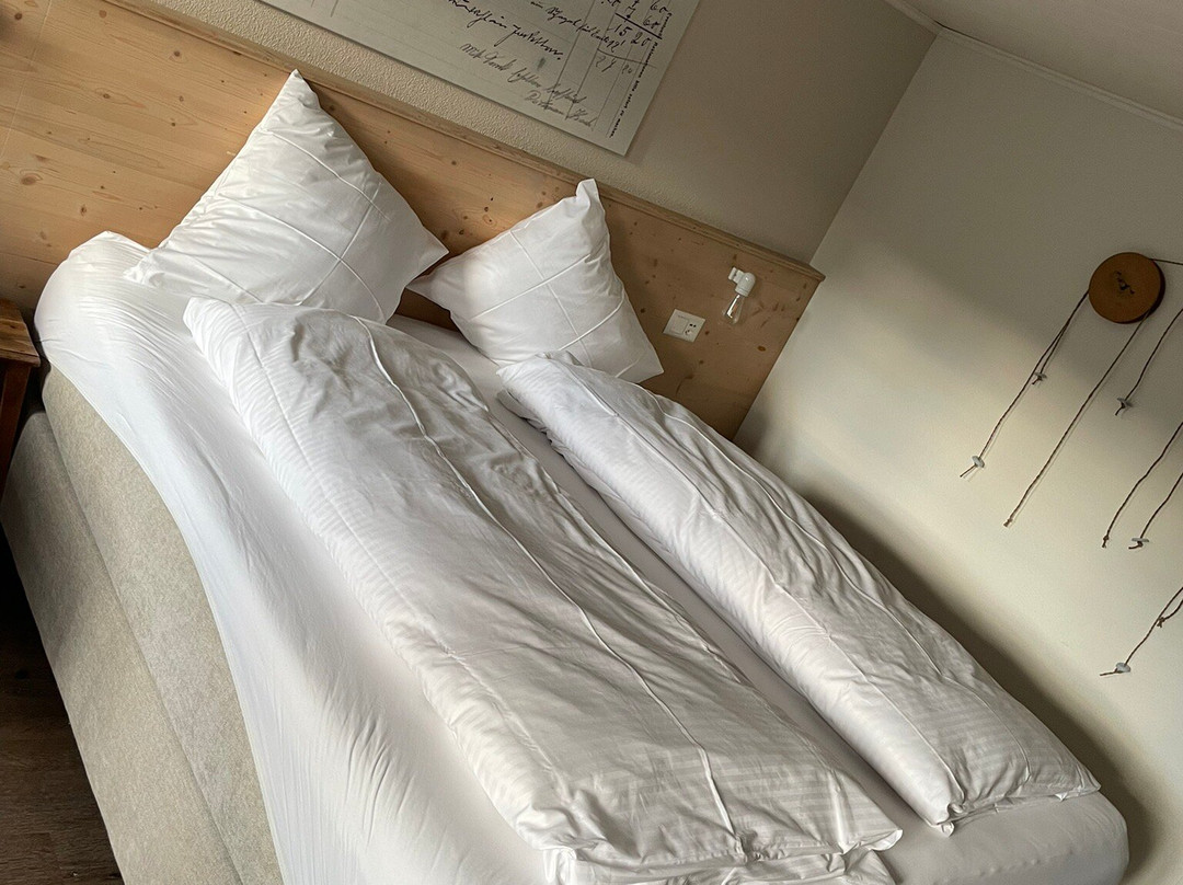 Landgasthof Drei Könige主图