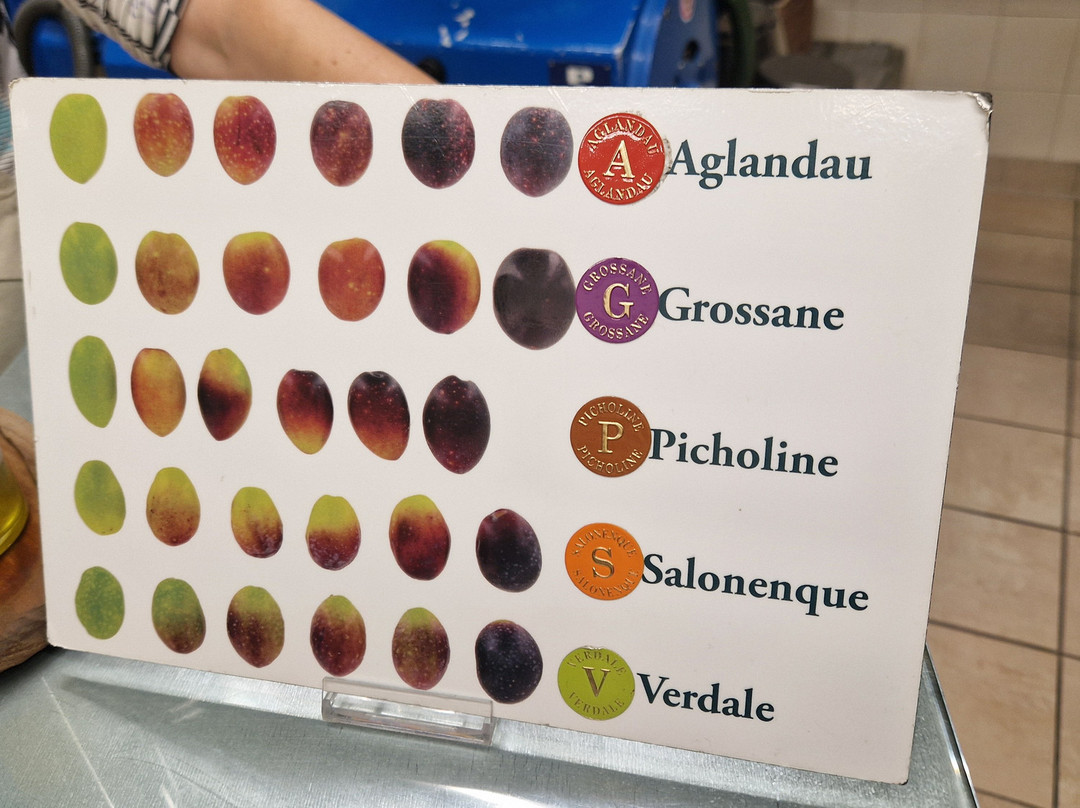 Moulin du Calanquet-圣雷米必去景点