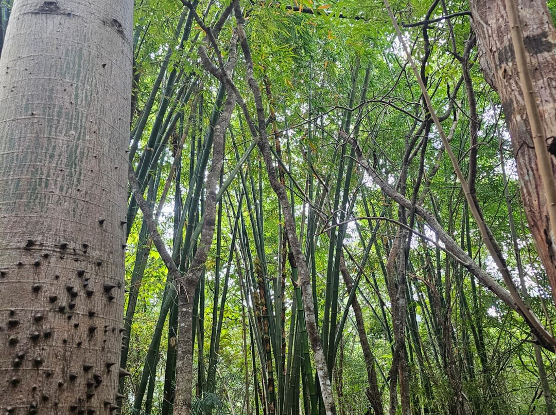 Choco Story uxmal-乌科斯玛必去景点