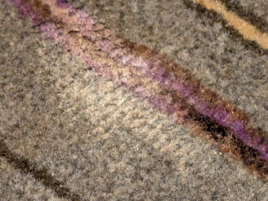 Premier Inn London Sutton Hotel主图