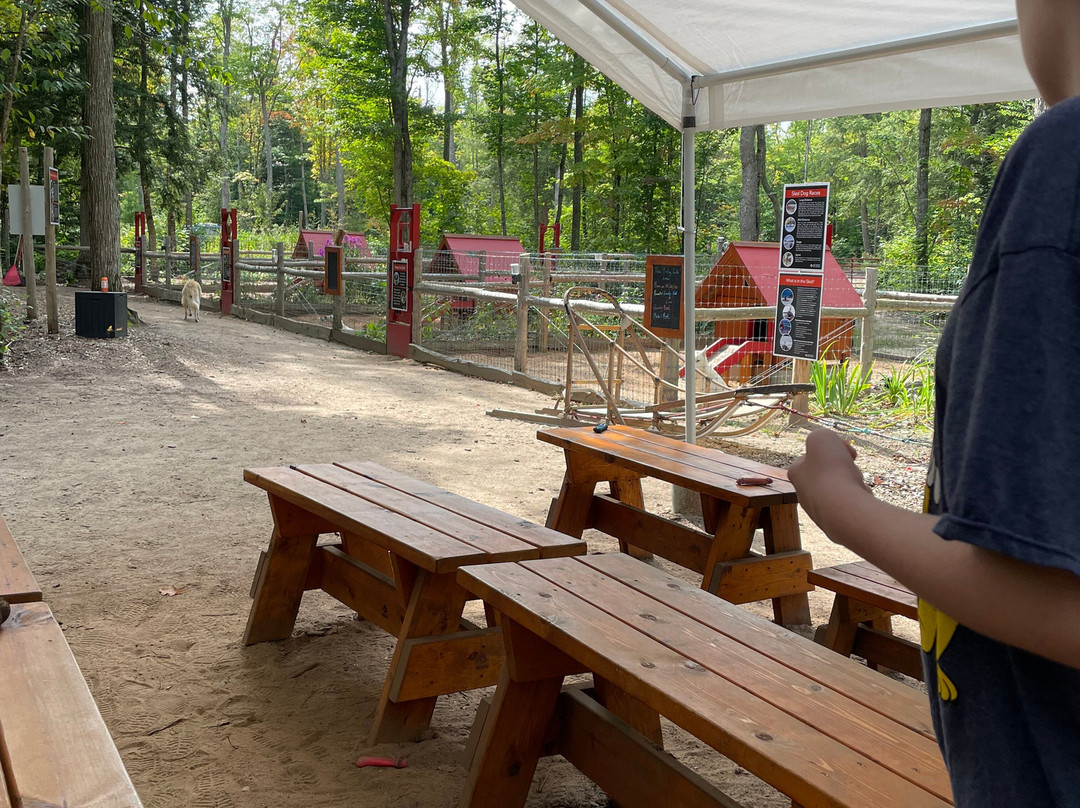 MIDOG - Michigan's Summer Sled Dog Center-Newberry必去景点