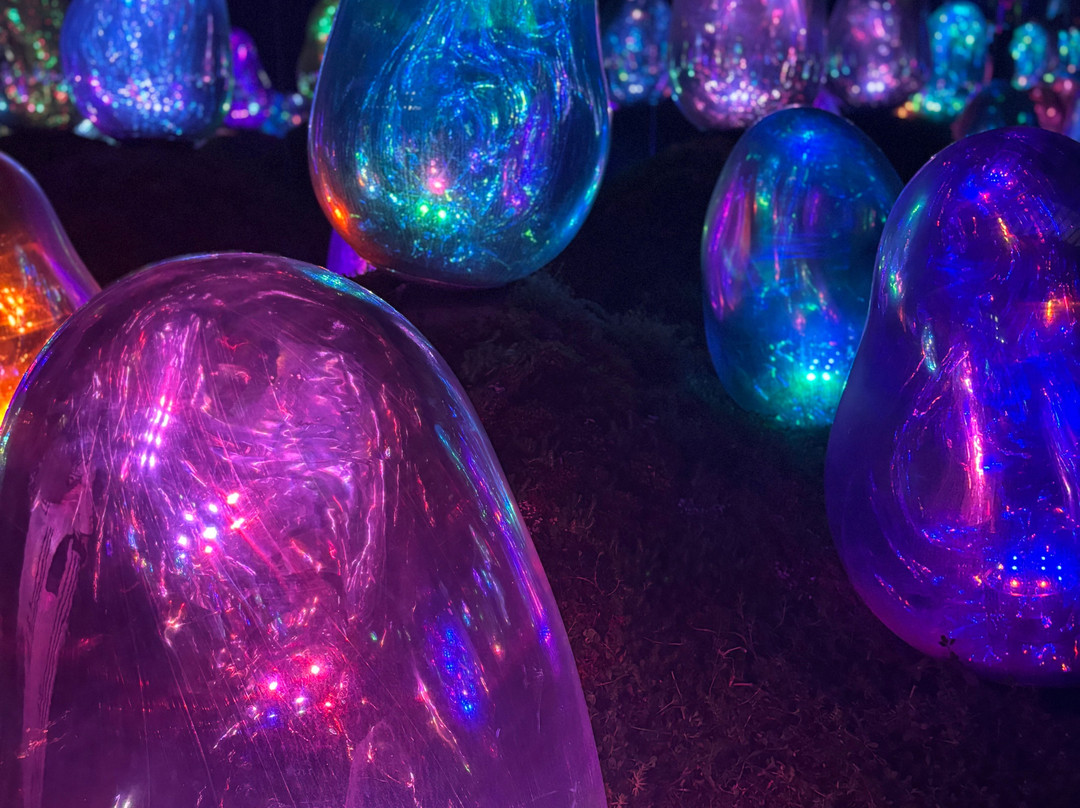 teamLab Planets TOKYO-Toyosu必去景点