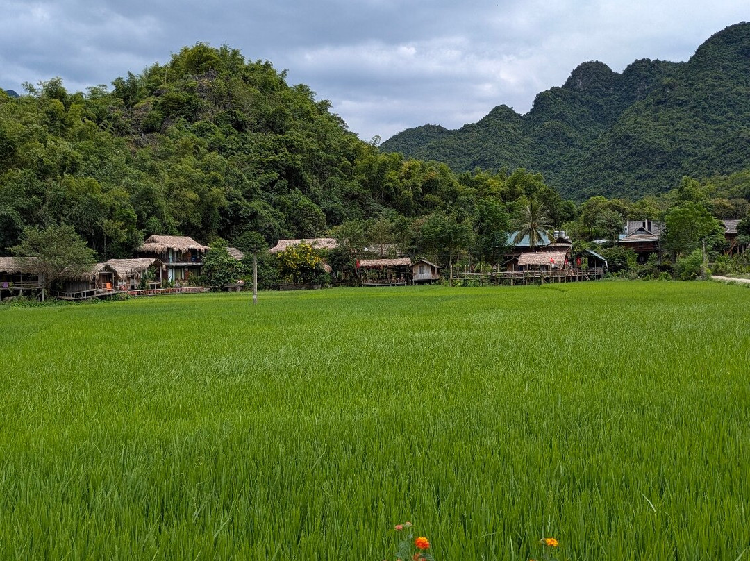 Ocean Easyrider Tour Vietnam-大勒必去景点