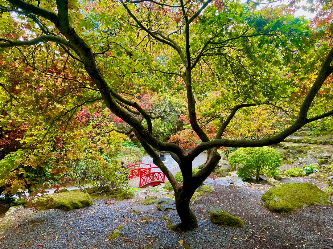 Johnston Gardens-阿伯丁必去景点