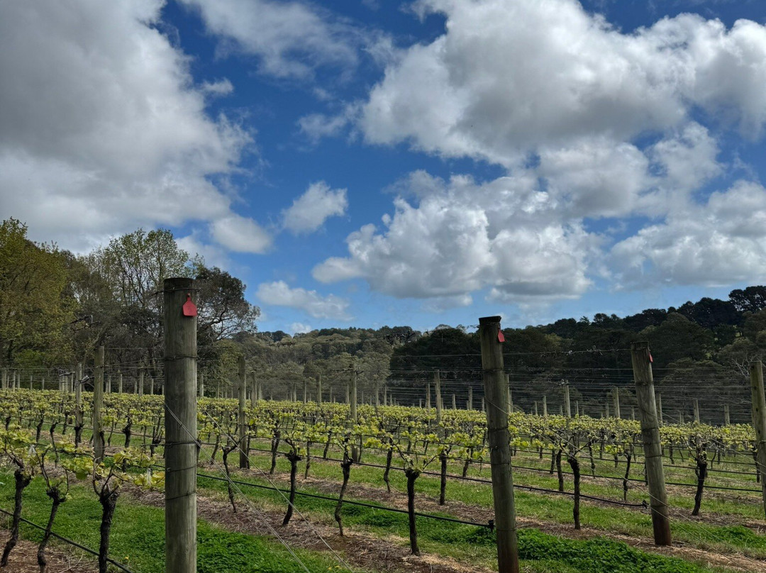 Mont Rouge Estate-红山必去景点