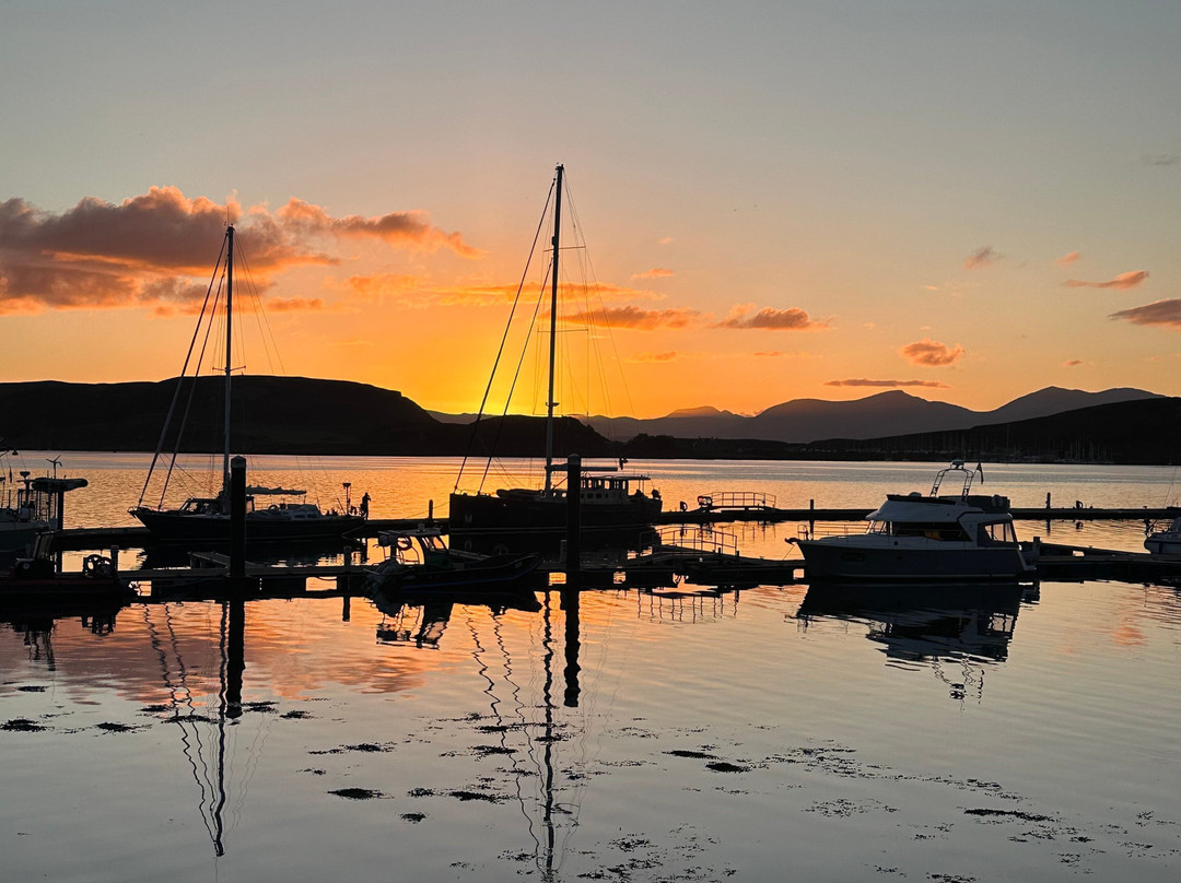 Basking Shark Scotland-奥本必去景点