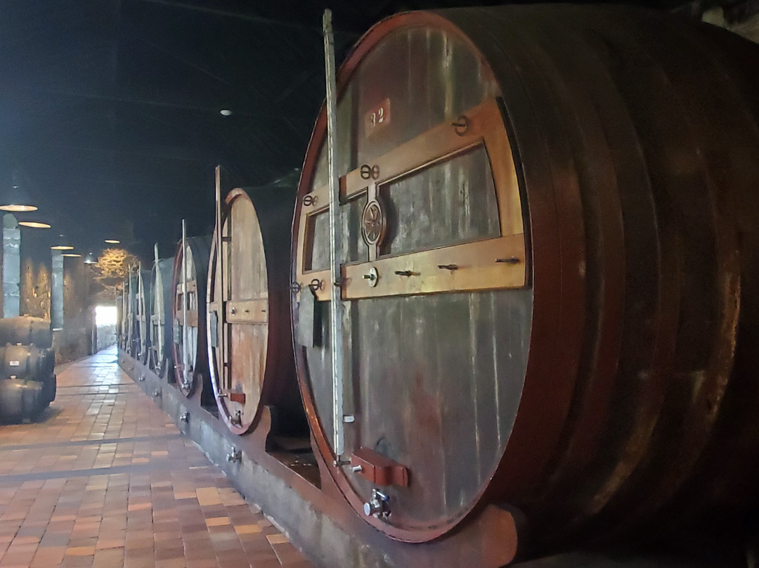 Burmester-加亚新城必去景点