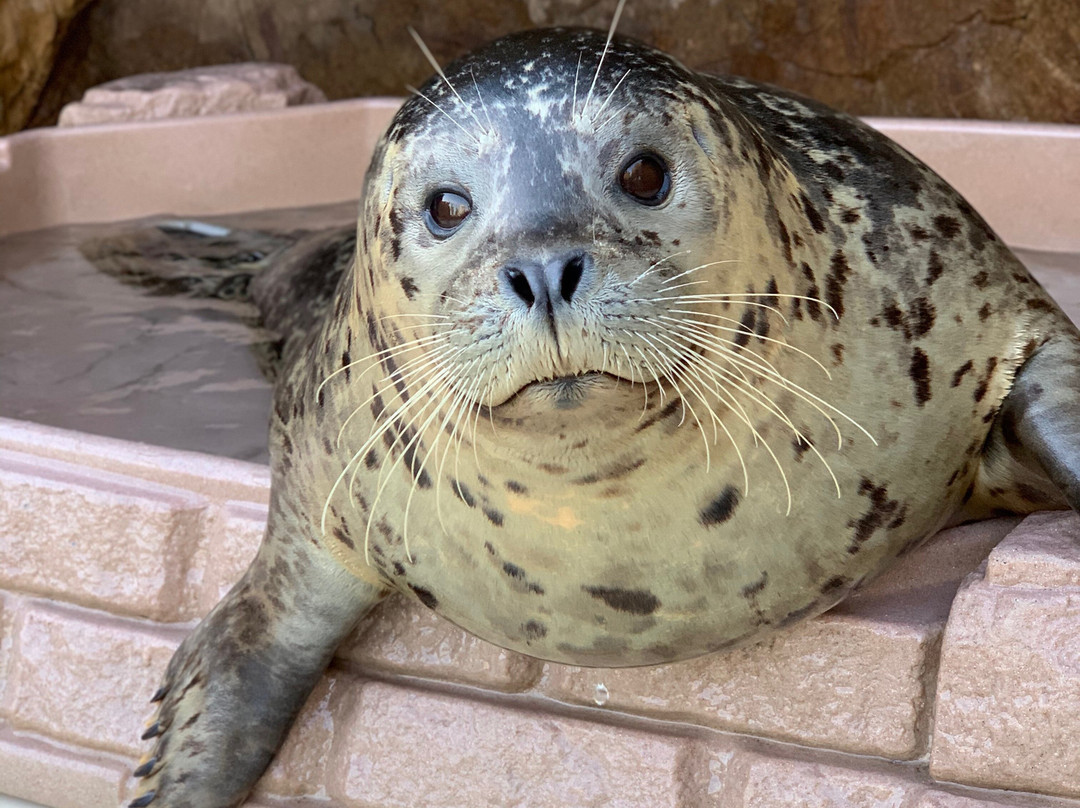 Long Island Aquarium-Riverhead必去景点