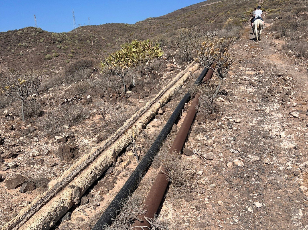 Horse Riding Adventures In Tenerife-圣米格尔德亚沃纳必去景点