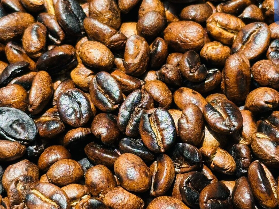 Materuni Village Experience-莫西必去景点