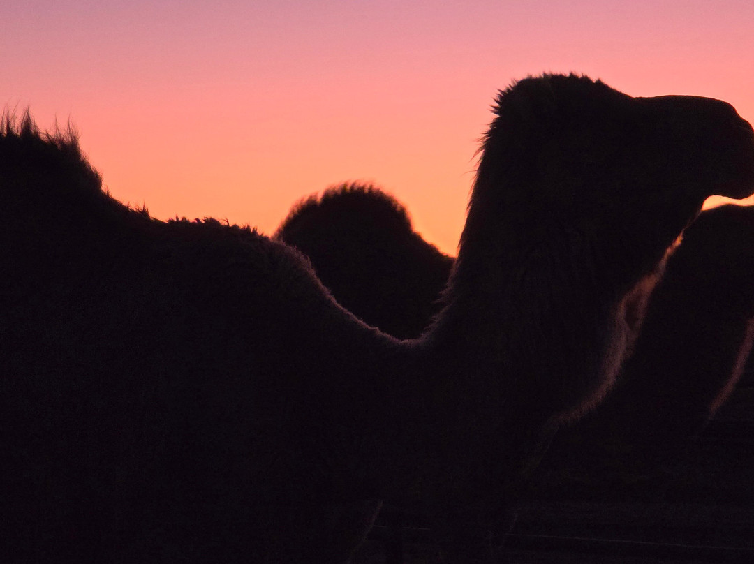 Park Trek Walking Holidays-墨尔本必去景点