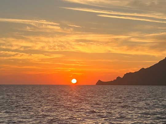 Seed & Rooted-斯塔滕岛必去景点