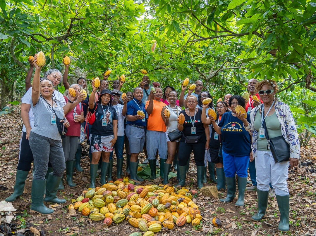 fairafric farm to factory tour