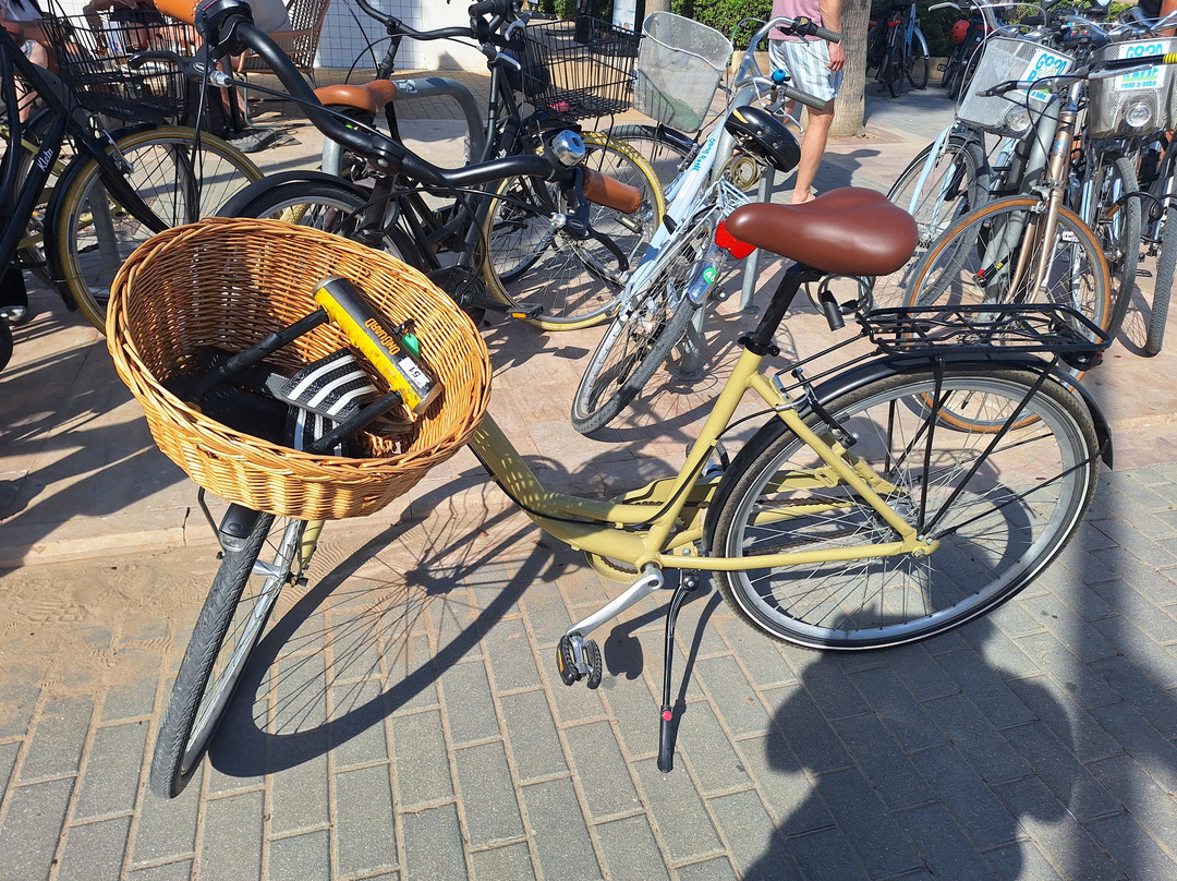 Bike in Mind Valencia-巴伦西亚必去景点