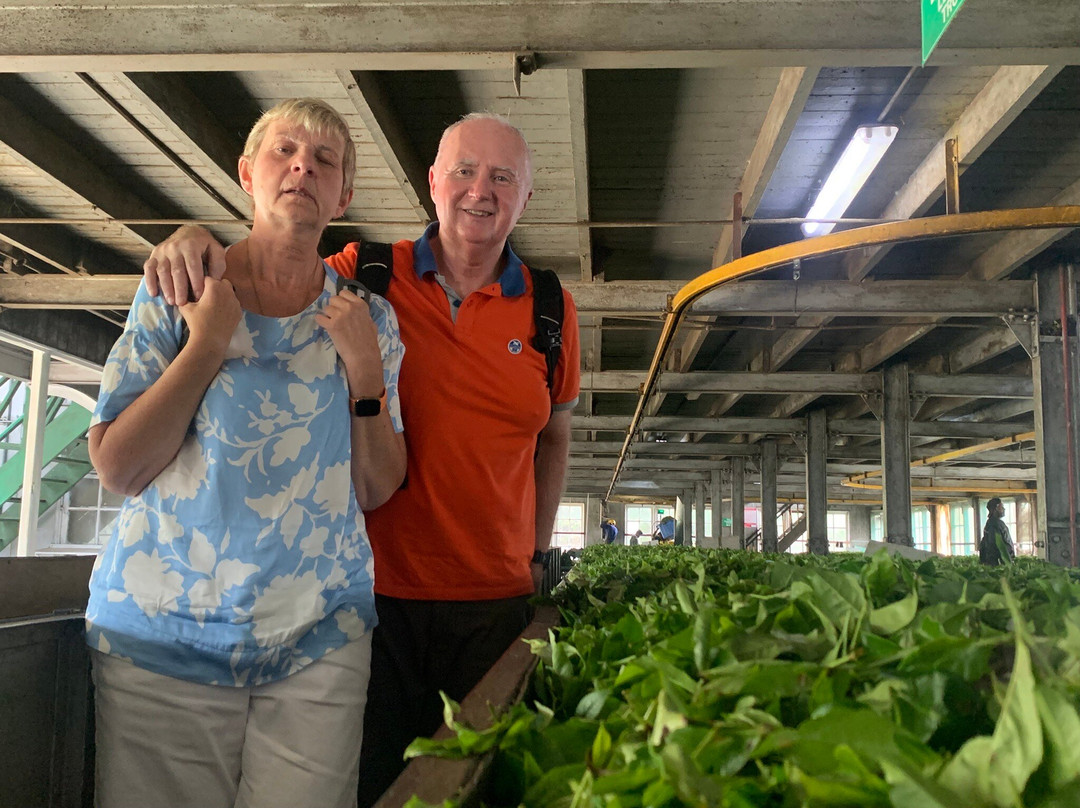 Viaggi Sri Lanka Con Vaas-科奇克德必去景点