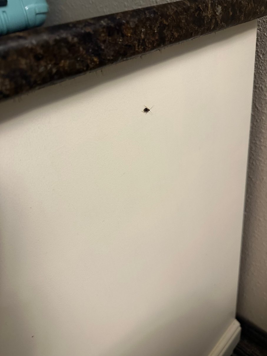 珊瑚海滩度假村-客卧