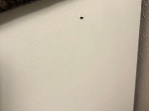 珊瑚海滩度假村主图