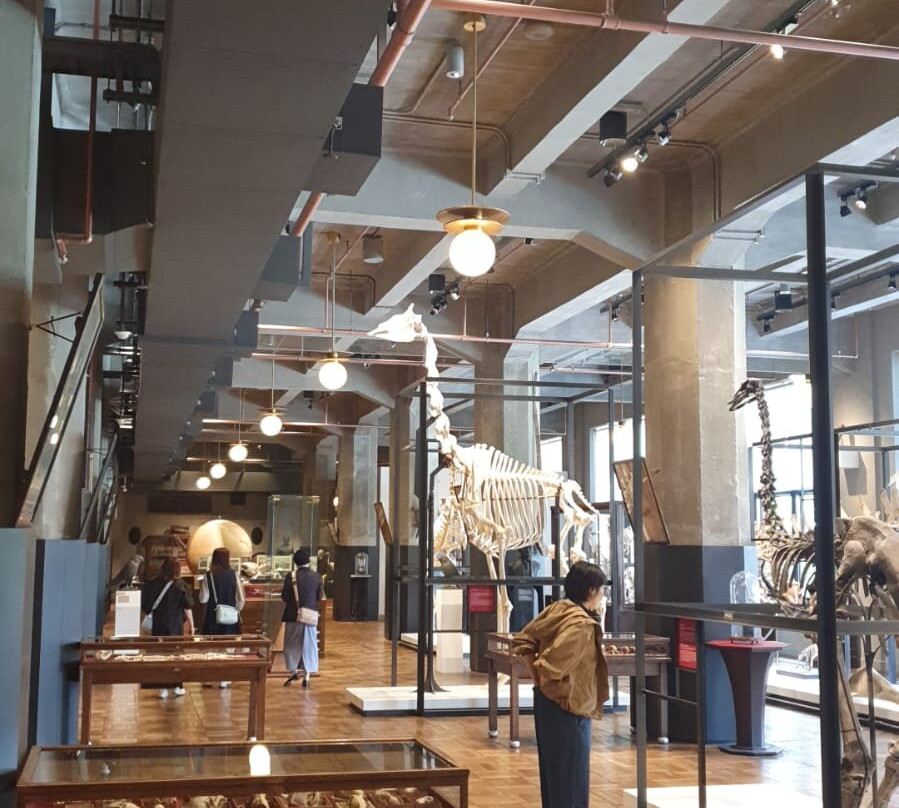 JP Tower Museum Intermediatheque-Marunouchi必去景点