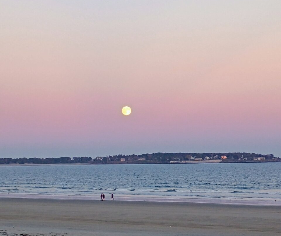 Ocean Walk Hotel主图