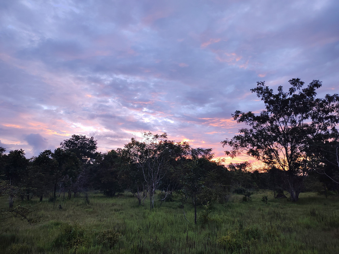 Wildlife Alliance-戈公必去景点