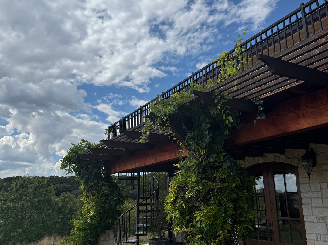 Valley Mills Vineyards-韦科必去景点