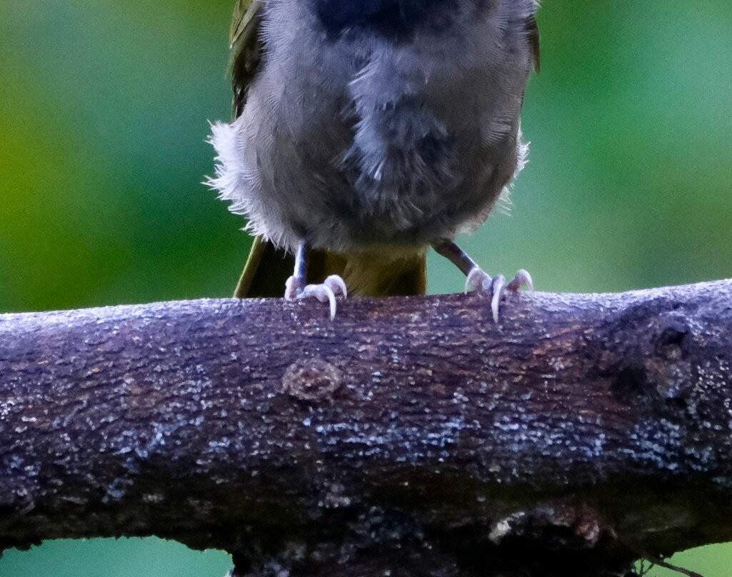 0S3 Private Tours-哈科必去景点