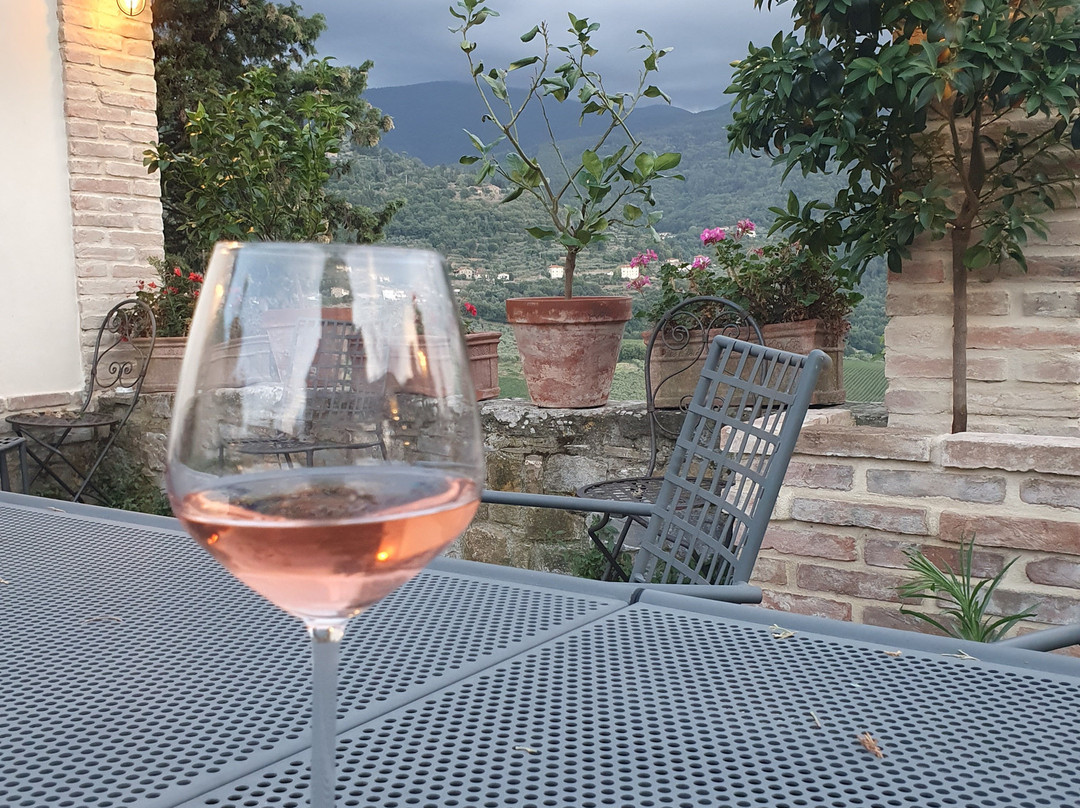Agriturismo La Fornella Dell'Anita主图