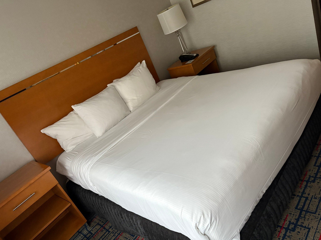 Hilton Rosemont/Chicago O'Hare主图