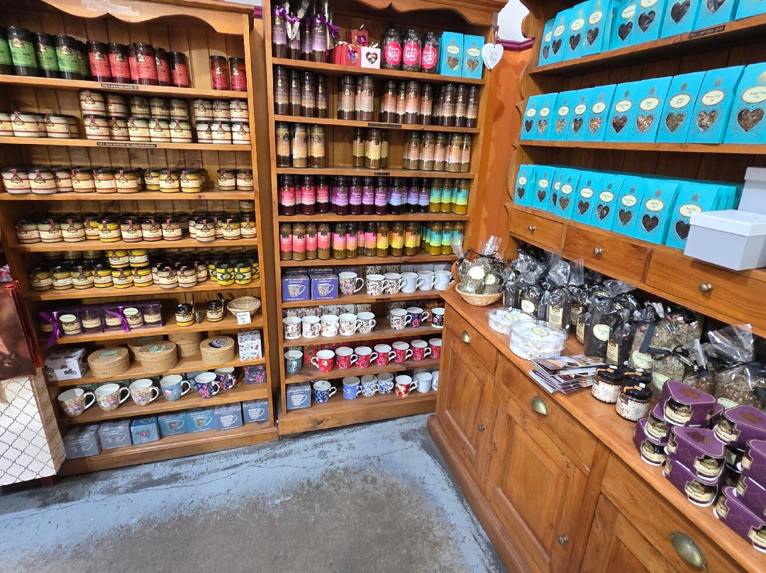 The Treat Factory-Berry必去景点