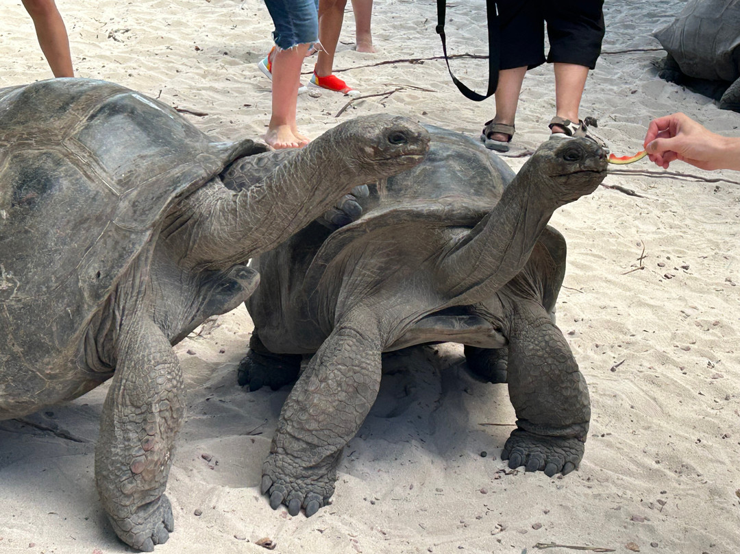 Angel Tours-Amitie必去景点