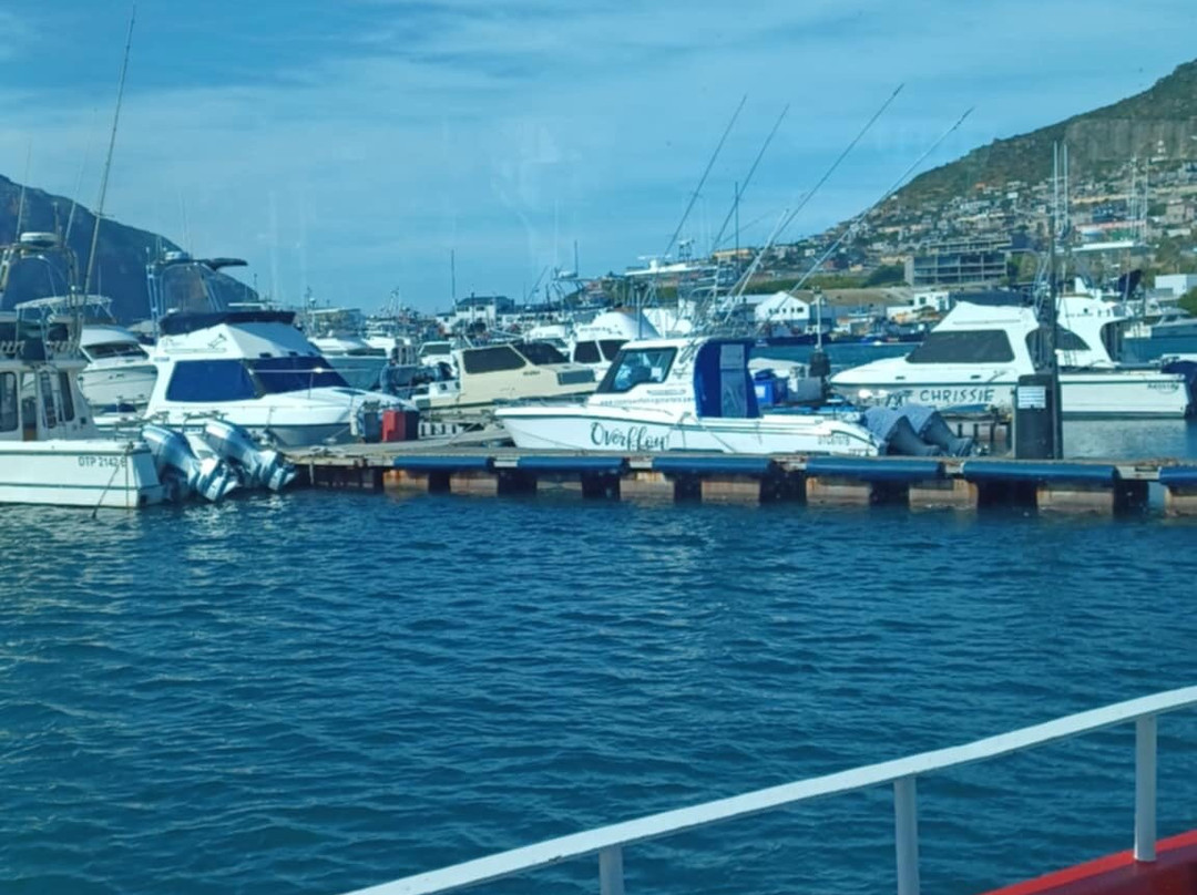 Nauticat Charters-木湾必去景点