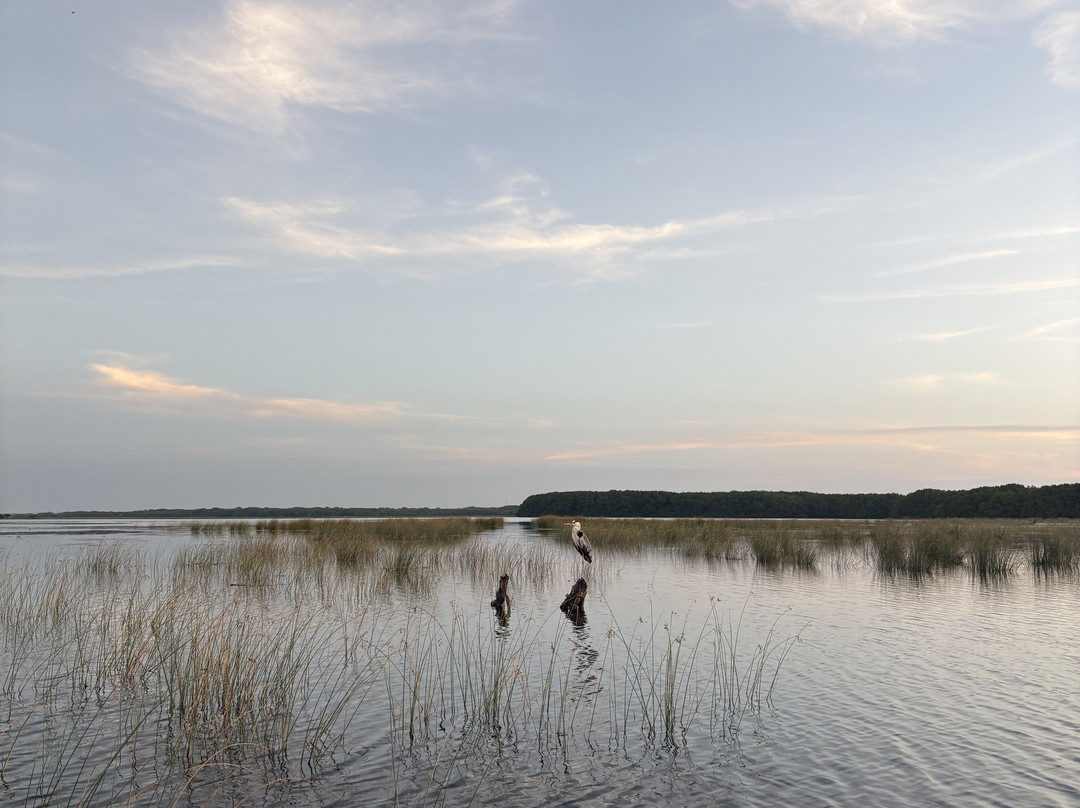 Arugam Bay Tours-阿鲁甘湾必去景点