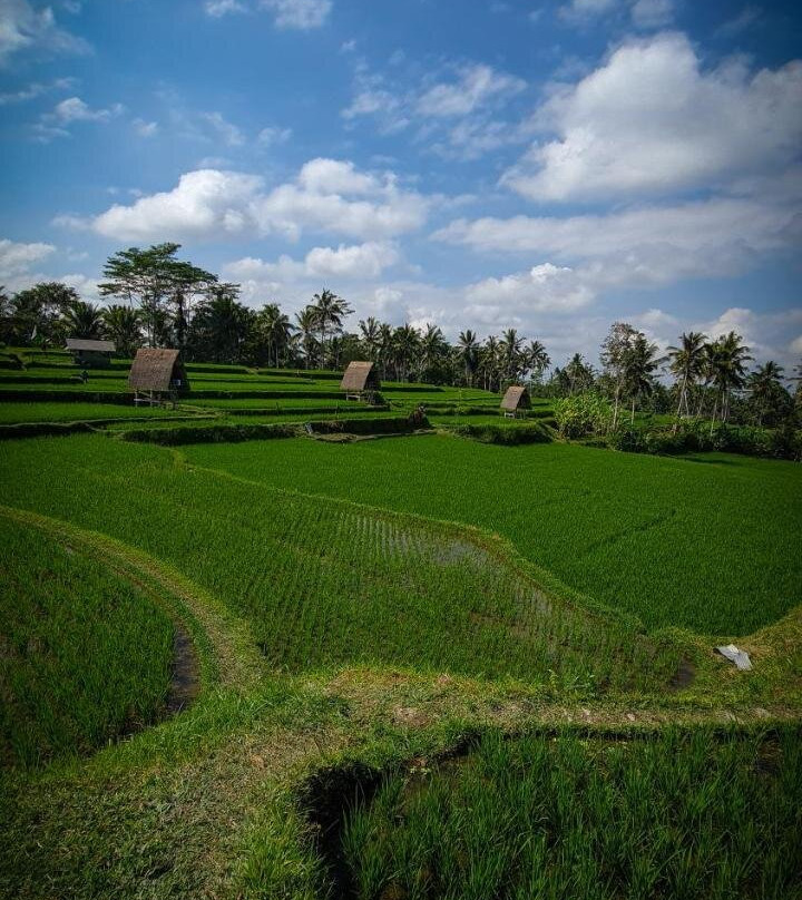 Swaha Retreat & Eco Park Ubud