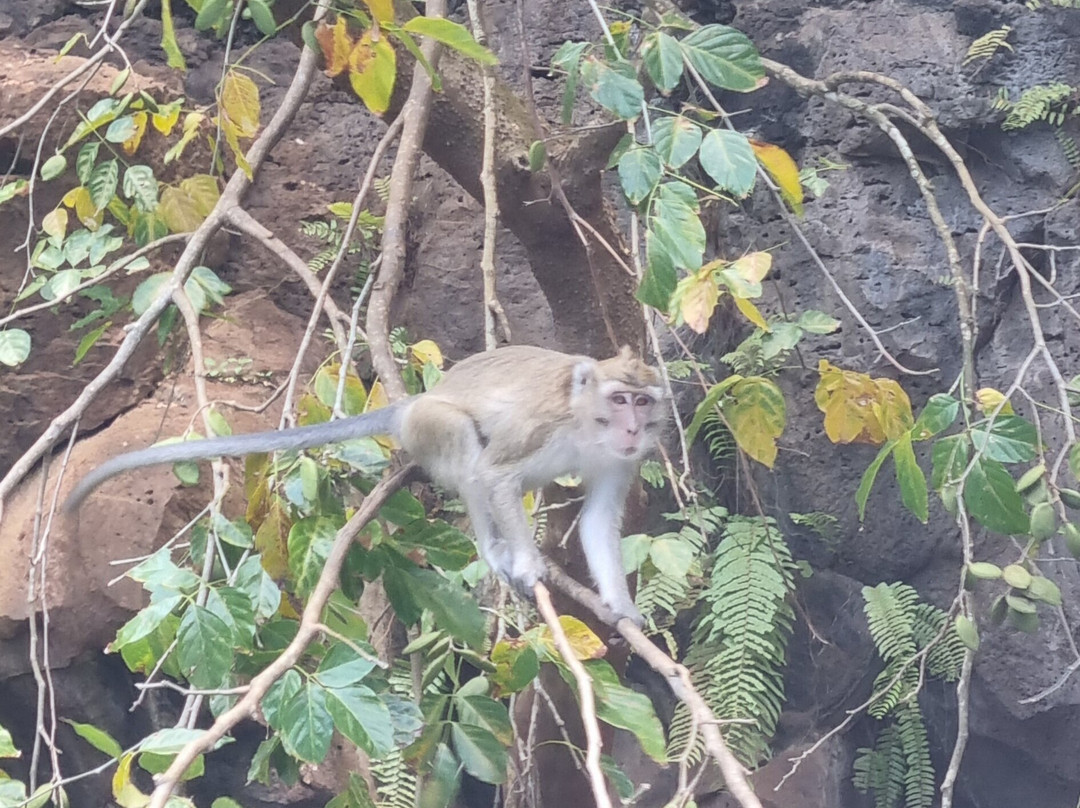 La Criee Ltee boat tours-蓝湾必去景点