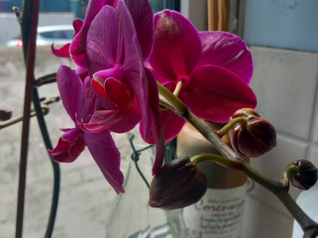 Sauna In The Lanes-布莱顿必去景点