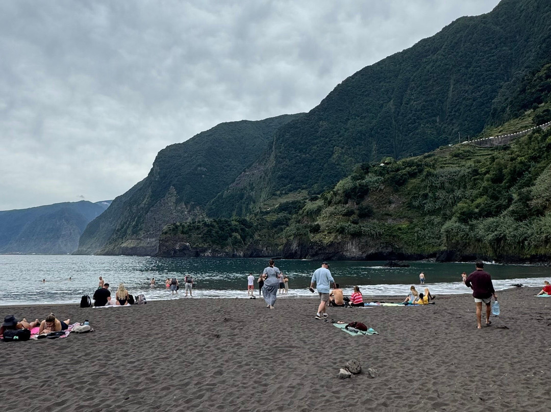 Safari Madeira Island-沙尔必去景点