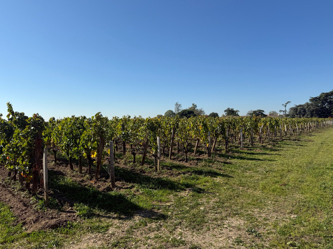 Château La Croix Saint Georges